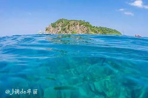 女星林小楼:当红时遭3名歹徒绑架,被劫财劫色,如今57岁仍未婚